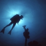 divers-silhouette-iStock_000001648320_Medium-1024x705