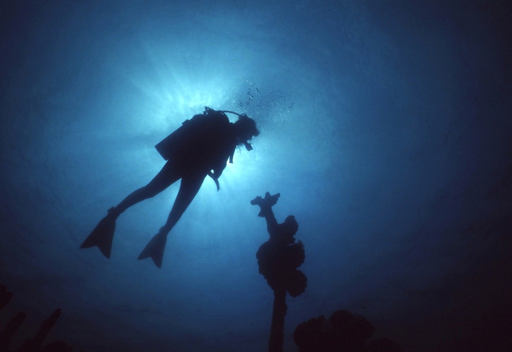 divers-silhouette-iStock_000001648320_Medium-1024x705