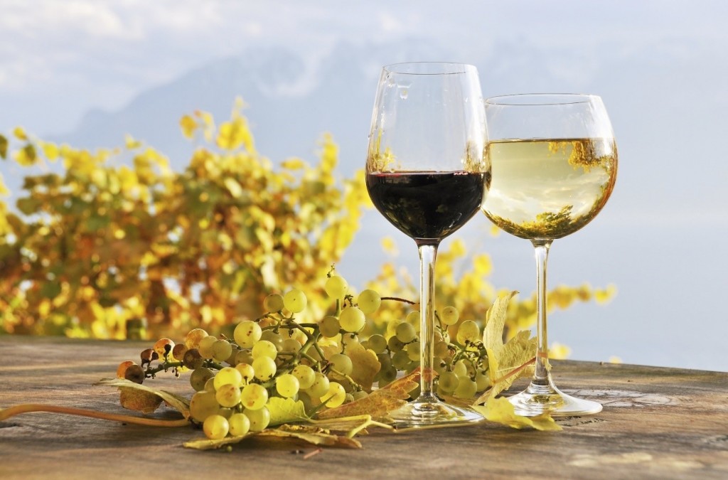 white and red wine on a table with grapes