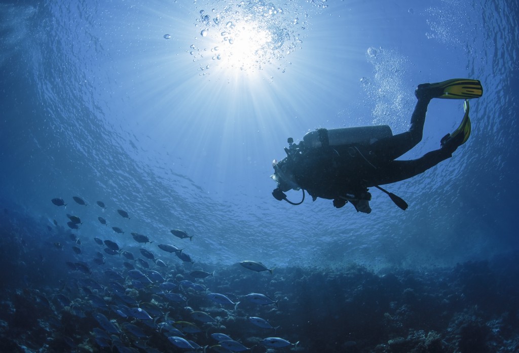 scooberdiving