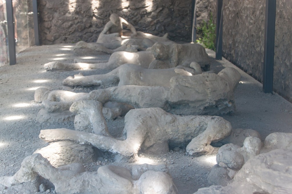 museum artefacts